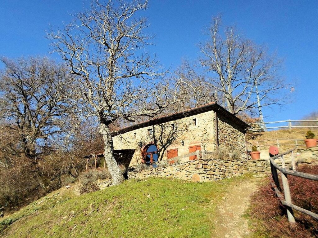 1480-Podere in posizione panoramica con attività agrituristica con ampio terreno-Pratovecchio Stia-5 Agenzia Immobiliare ASIP