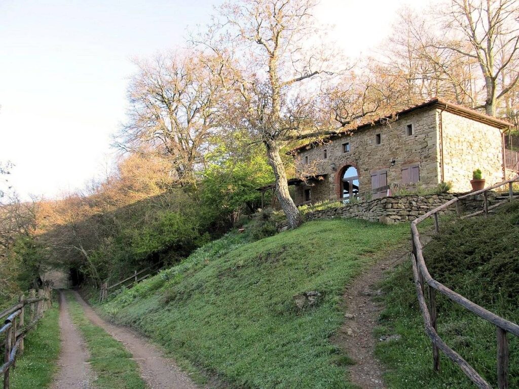 1480-Podere in posizione panoramica con attività agrituristica con ampio terreno-Pratovecchio Stia-12 Agenzia Immobiliare ASIP