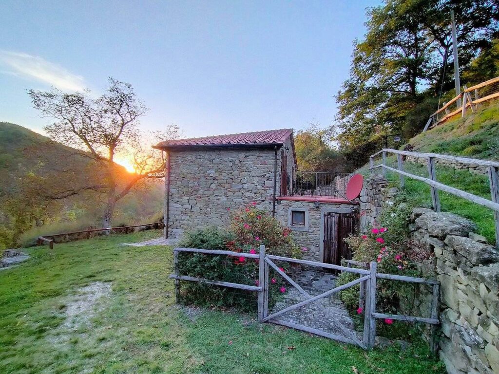 1480-Podere in posizione panoramica con attività agrituristica con ampio terreno-Pratovecchio Stia-15 Agenzia Immobiliare ASIP