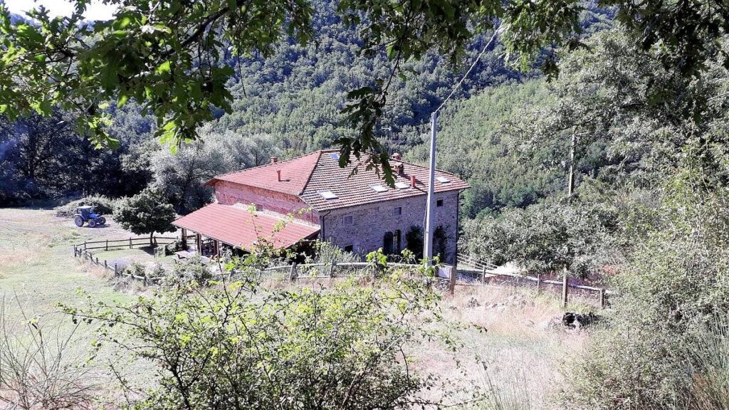 1480-Podere in posizione panoramica con attività agrituristica con ampio terreno-Pratovecchio Stia-10 Agenzia Immobiliare ASIP