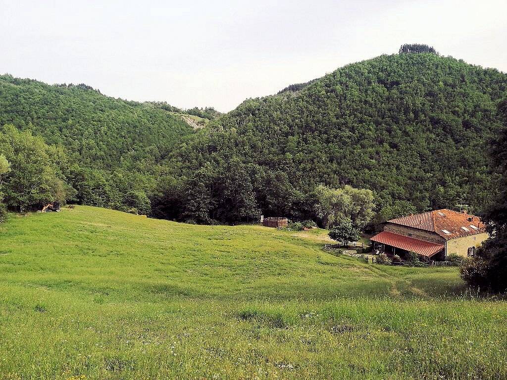 1480-Podere in posizione panoramica con attività agrituristica con ampio terreno-Pratovecchio Stia-4 Agenzia Immobiliare ASIP