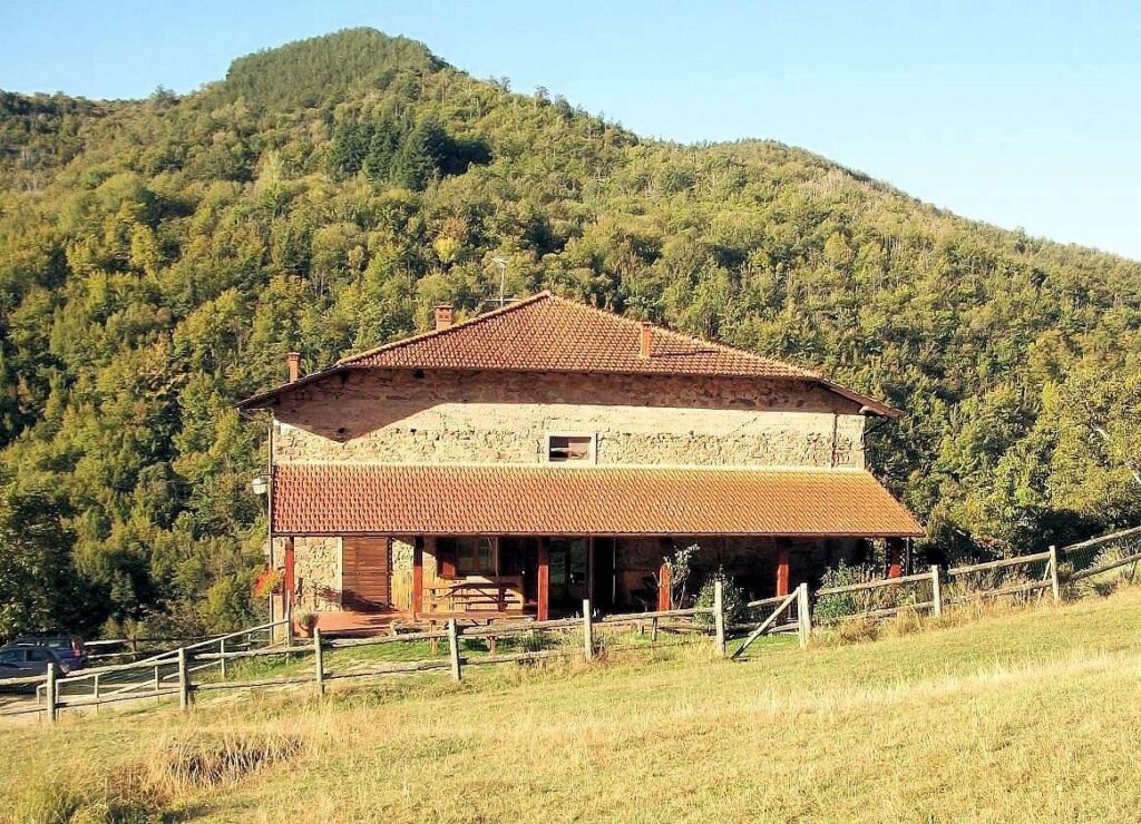 1480-Podere in posizione panoramica con attività agrituristica con ampio terreno-Pratovecchio Stia-13 Agenzia Immobiliare ASIP