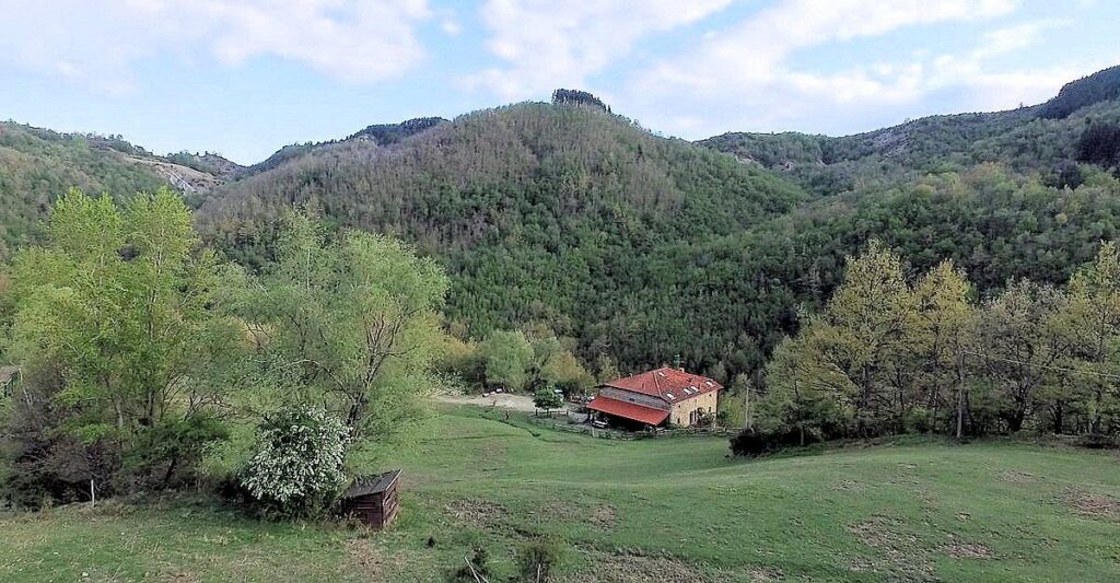 1480-Podere in posizione panoramica con attività agrituristica con ampio terreno-Pratovecchio Stia-14 Agenzia Immobiliare ASIP