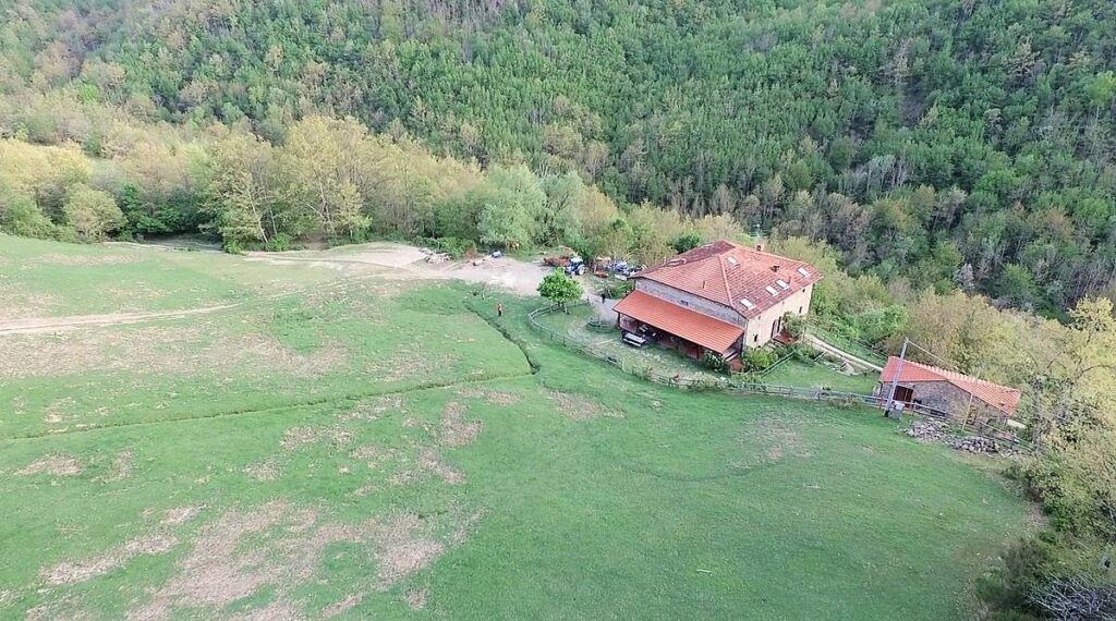 1480-Podere in posizione panoramica con attività agrituristica con ampio terreno-Pratovecchio Stia-8 Agenzia Immobiliare ASIP