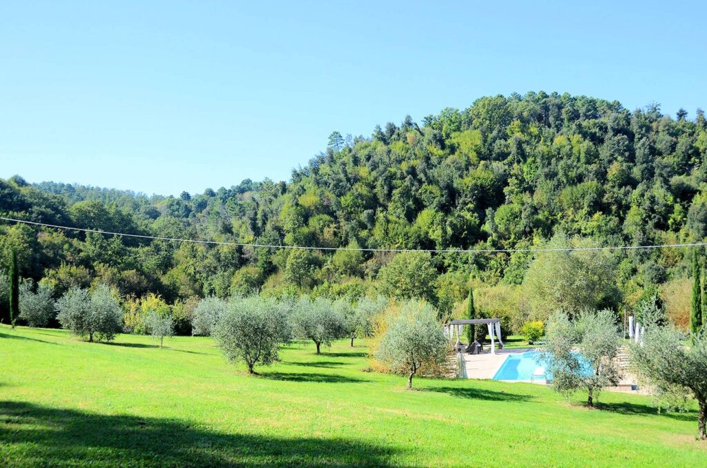 1330-Casale in stile Toscano con parco piscina e dependance in zona panoramica-Chianni-5 Agenzia Immobiliare ASIP