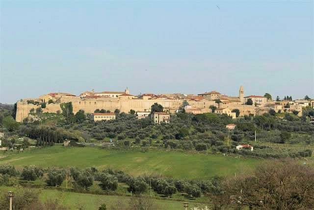 1214-Azienda vitivinicola Morellino di Scansano con agriturismo-Grosseto-2 Agenzia Immobiliare ASIP