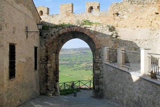 1214-Azienda vitivinicola Morellino di Scansano con agriturismo-Grosseto-8 Agenzia Immobiliare ASIP