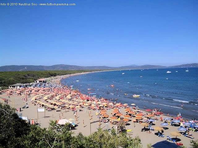 1214-Azienda vitivinicola Morellino di Scansano con agriturismo-Grosseto-9 Agenzia Immobiliare ASIP