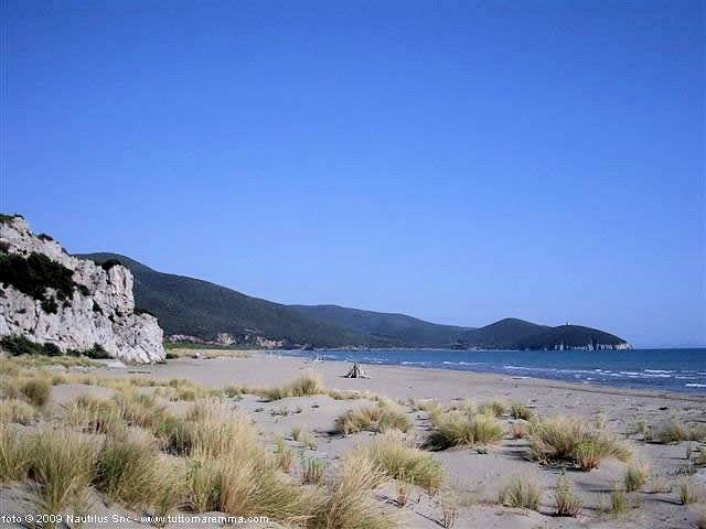 1214-Azienda vitivinicola Morellino di Scansano con agriturismo-Grosseto-11 Agenzia Immobiliare ASIP