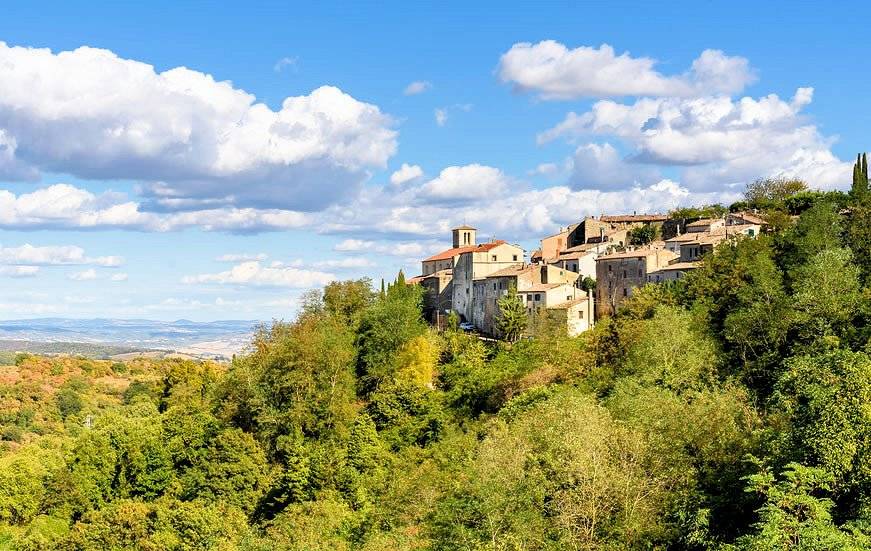 1214-Azienda vitivinicola Morellino di Scansano con agriturismo-Grosseto-7 Agenzia Immobiliare ASIP