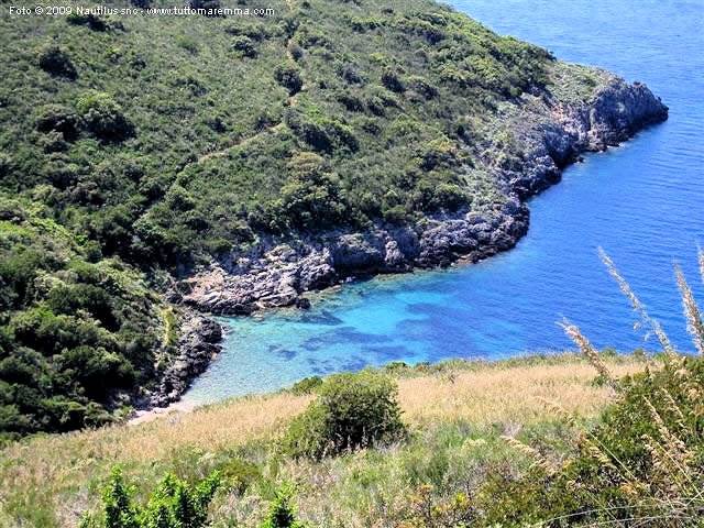 1214-Azienda vitivinicola Morellino di Scansano con agriturismo-Grosseto-12 Agenzia Immobiliare ASIP