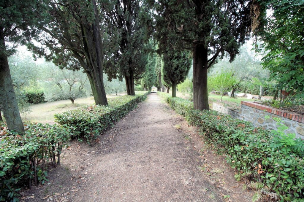 1483-Villa di assoluto pregio con dependance parco e piscina in posizione panoramica-Uzzano-7 Agenzia Immobiliare ASIP