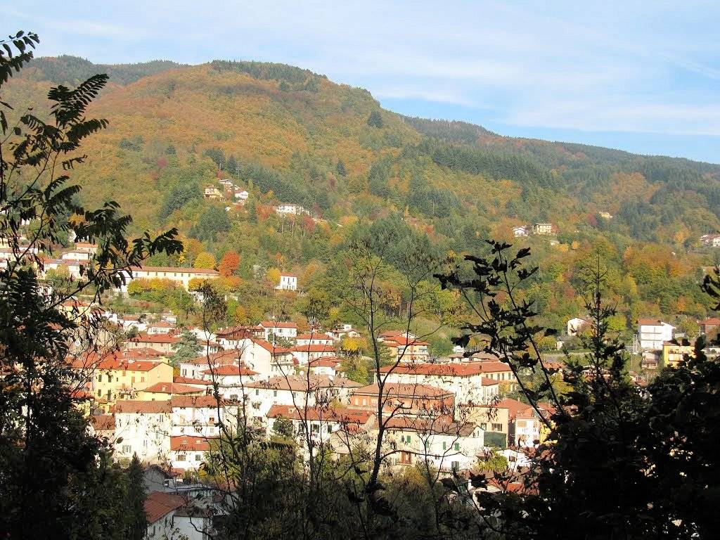 1222-Proponiamo la vendita dell'attivita' di bar/ristorante/pizzeria-Abetone Cutigliano-5 Agenzia Immobiliare ASIP