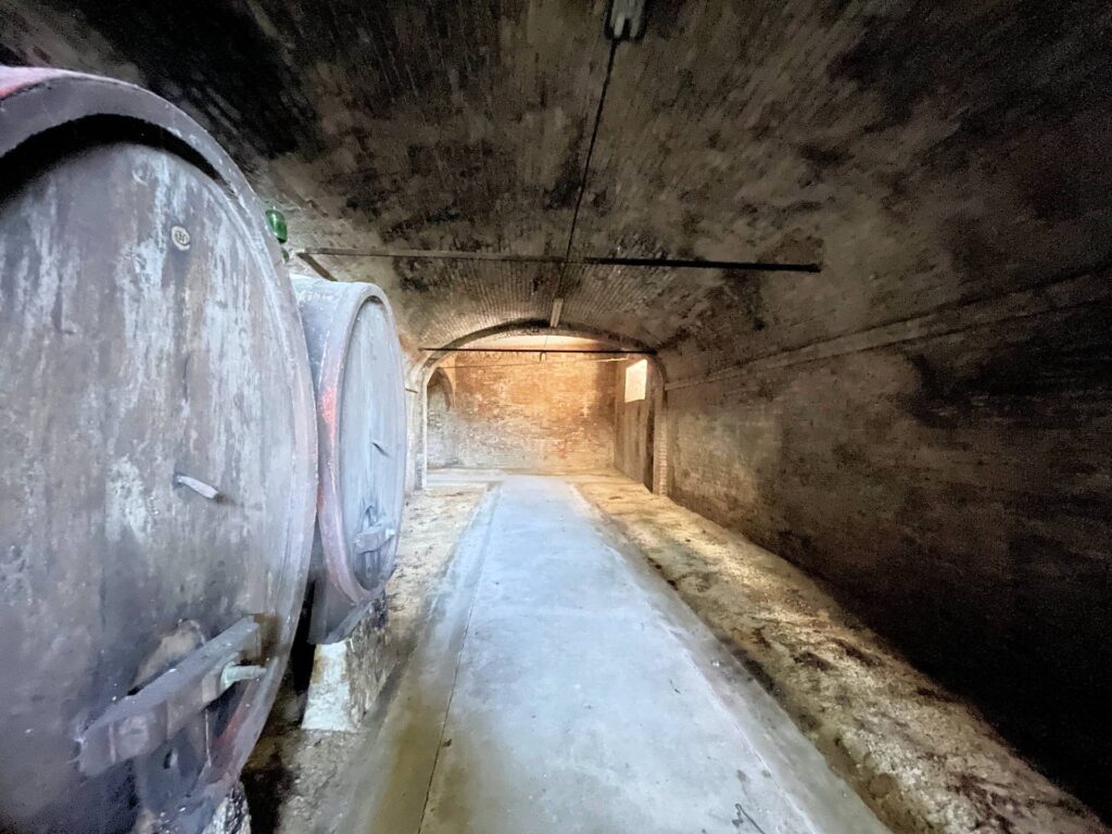 784-Villa di ampia superficie con giardino-Capannoli-18 Agenzia Immobiliare ASIP