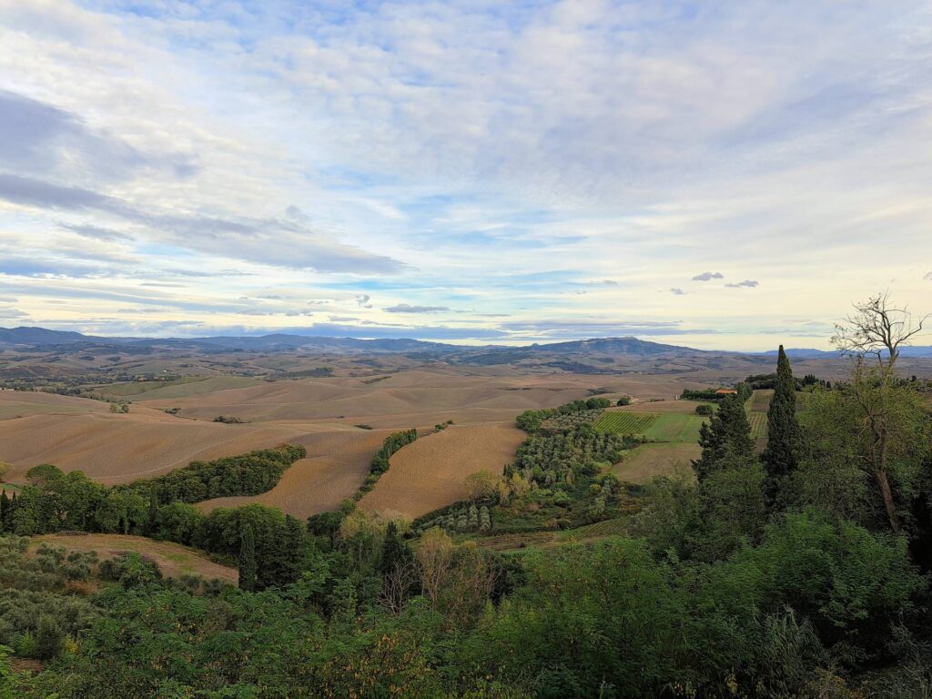 1213-Terratetto composto da due appartamenti-Lajatico-2 Agenzia Immobiliare ASIP
