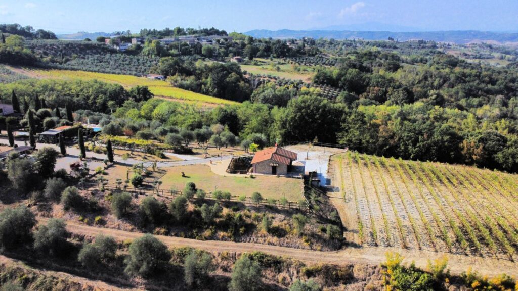 1488-Azienda agricola in posizione panoramica-Montaione-8 Agenzia Immobiliare ASIP
