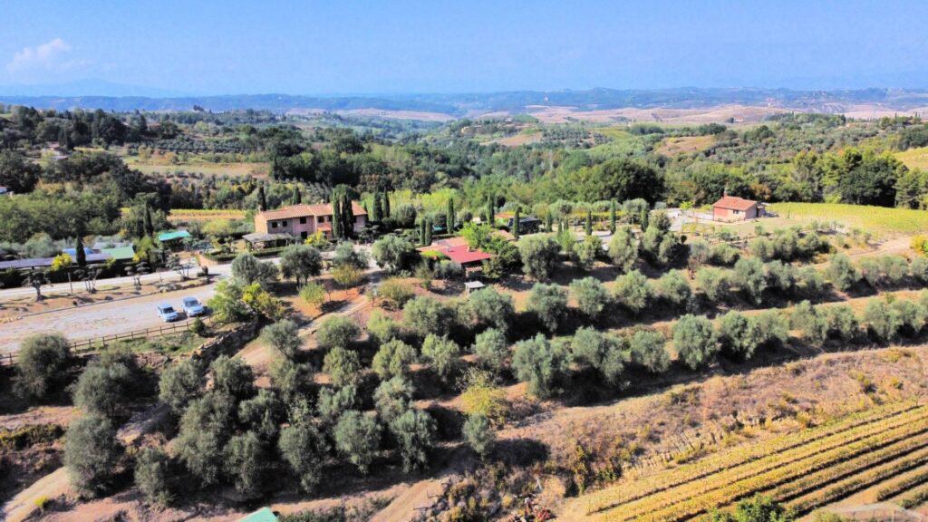 1488-Azienda agricola in posizione panoramica-Montaione-11 Agenzia Immobiliare ASIP