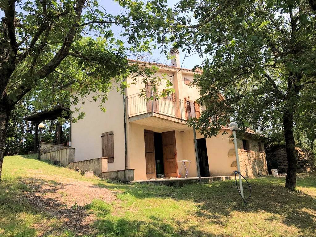 1489-Rustico in stile Toscano con giardino e piscina  in ottima posizione-Roccastrada-5 Agenzia Immobiliare ASIP