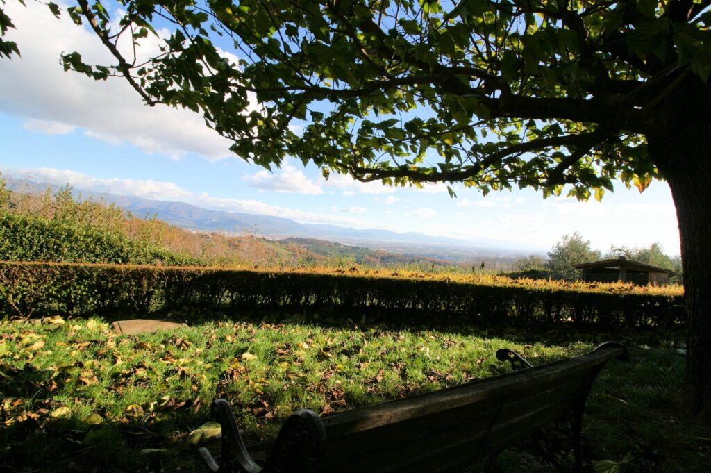 1492-Rustico in stile Toscano con terreno e vista panoramica-Serravalle Pistoiese-4 Agenzia Immobiliare ASIP