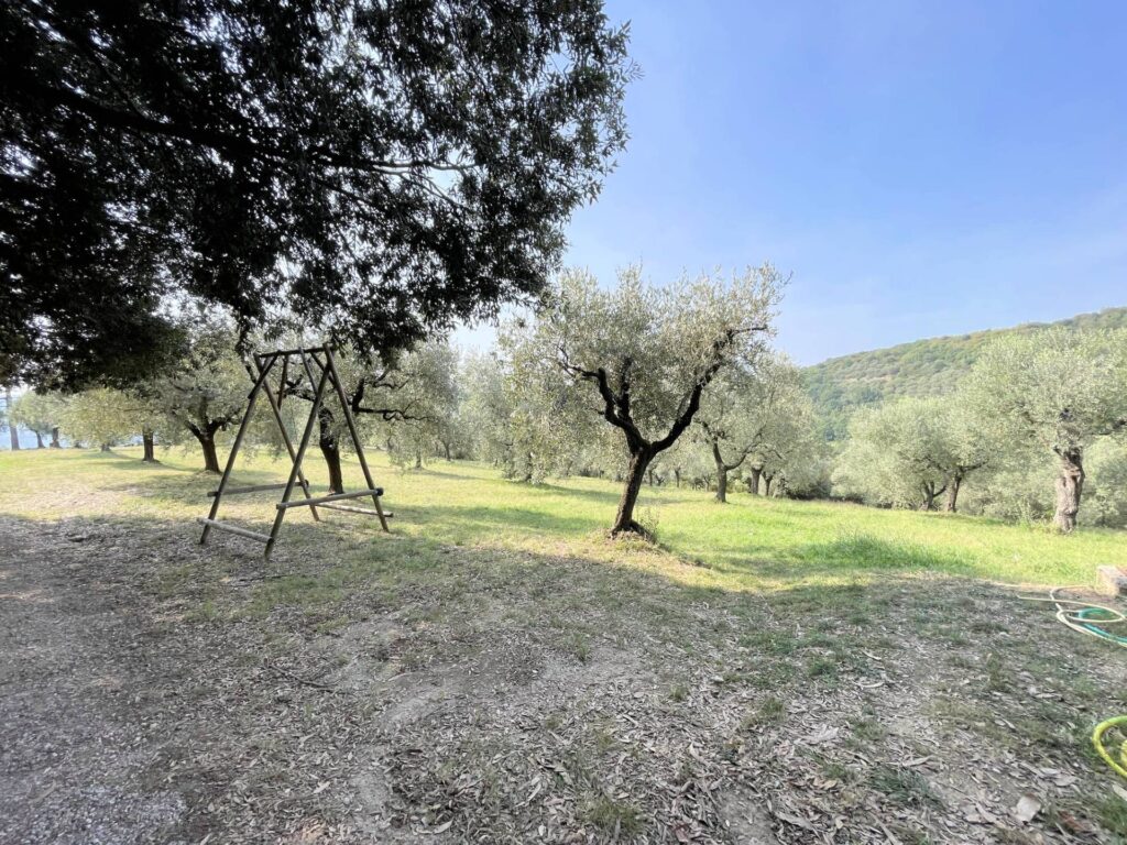 1497-Agriturismo con ampio terreno con vista panoramica-Vecchiano-6 Agenzia Immobiliare ASIP