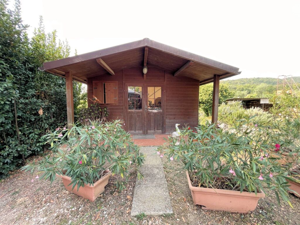1497-Agriturismo con ampio terreno con vista panoramica-Vecchiano-11 Agenzia Immobiliare ASIP