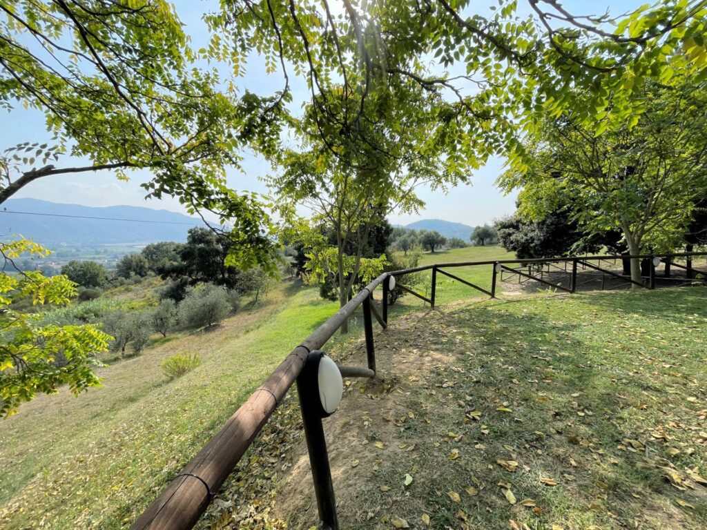 1497-Agriturismo con ampio terreno con vista panoramica-Vecchiano-2 Agenzia Immobiliare ASIP