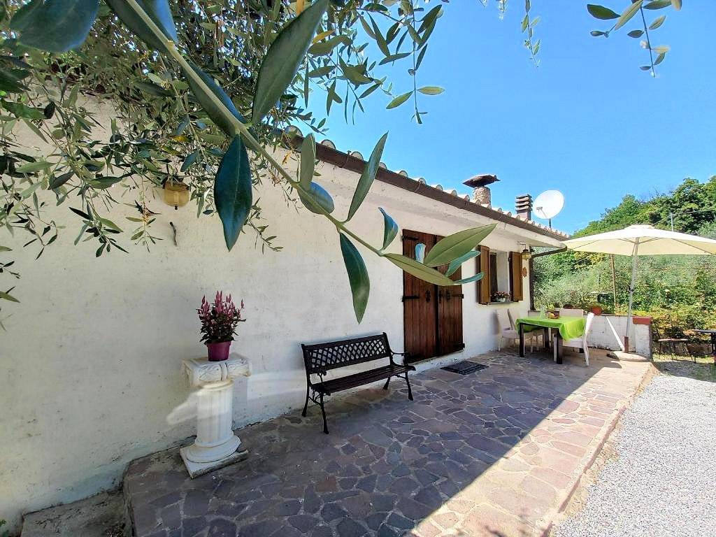1343-Rustico con ampio terreno e vista panoramica-Pescia-5 Agenzia Immobiliare ASIP