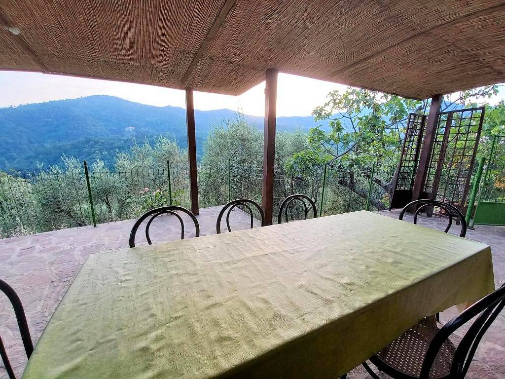 1343-Rustico con ampio terreno e vista panoramica-Pescia-7 Agenzia Immobiliare ASIP