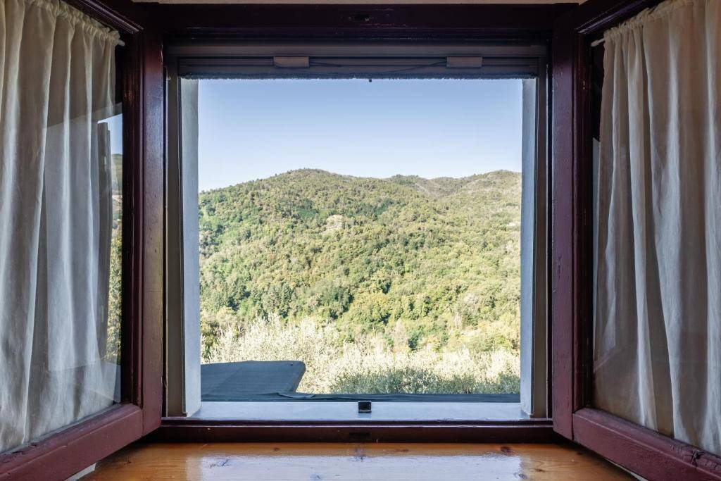 1343-Rustico con ampio terreno e vista panoramica-Pescia-13 Agenzia Immobiliare ASIP
