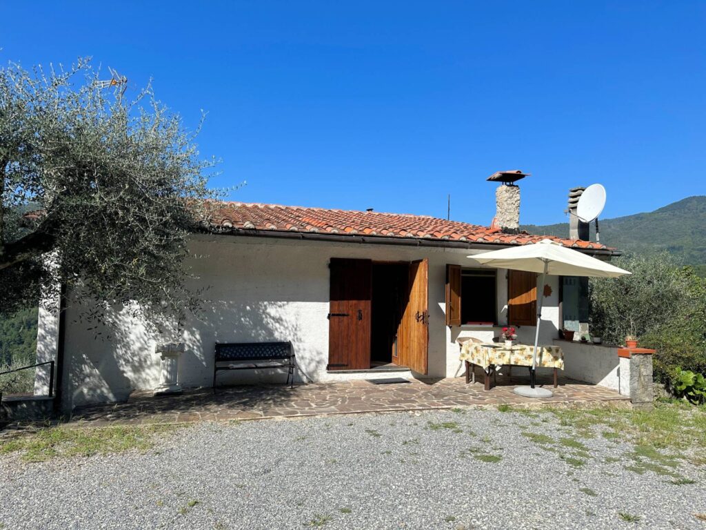 1343-Rustico con ampio terreno e vista panoramica-Pescia-11 Agenzia Immobiliare ASIP