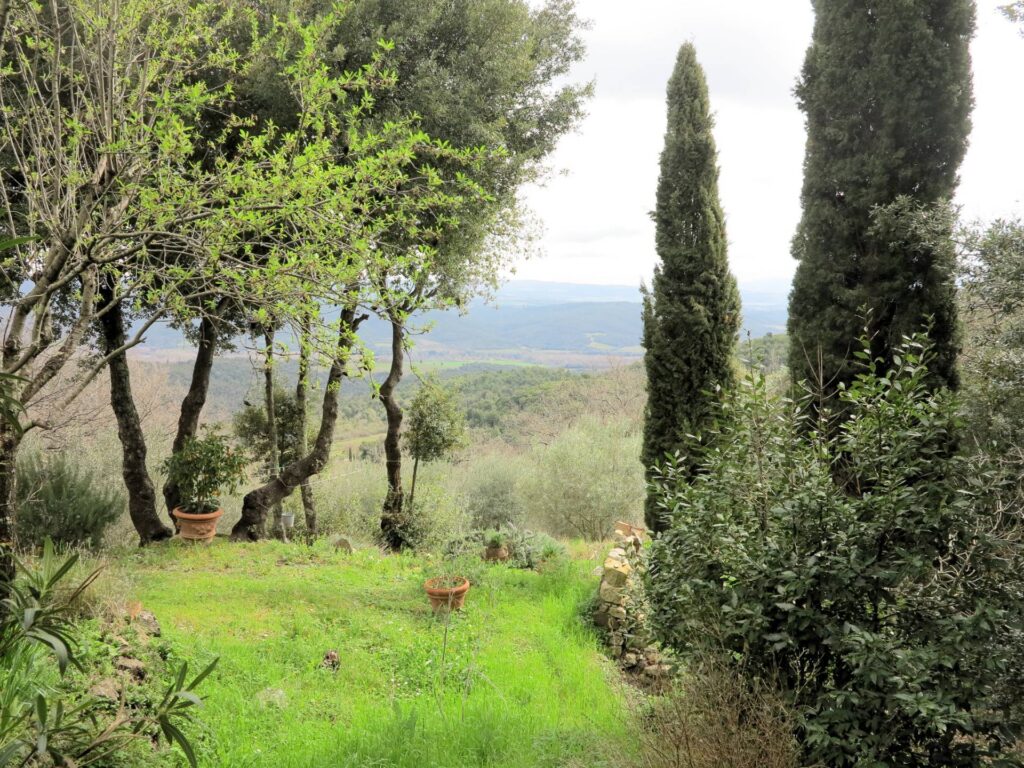 1164-Terratetto libero su tre lati con giardino-Civitella Paganico-4 Agenzia Immobiliare ASIP