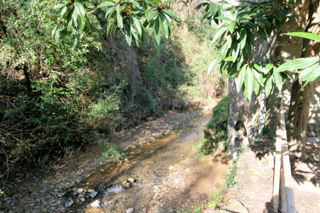 1323-Rustico in stile Toscano con terreno-Lamporecchio-4 Agenzia Immobiliare ASIP