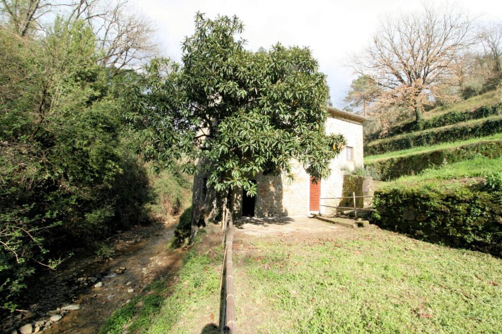 1323-Rustico in stile Toscano con terreno-Lamporecchio-5 Agenzia Immobiliare ASIP