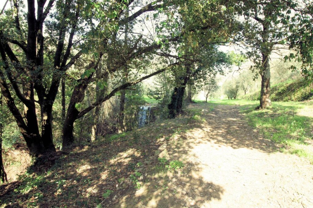 1323-Rustico in stile Toscano con terreno-Lamporecchio-7 Agenzia Immobiliare ASIP