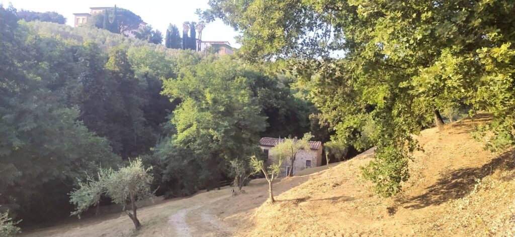 1323-Rustico in stile Toscano con terreno-Lamporecchio-2 Agenzia Immobiliare ASIP