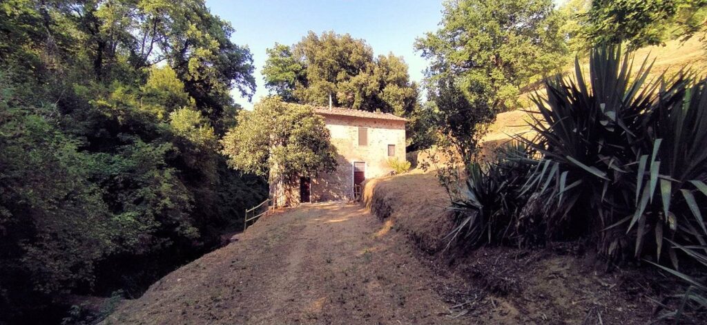 1323-Rustico in stile Toscano con terreno-Lamporecchio-1 Agenzia Immobiliare ASIP