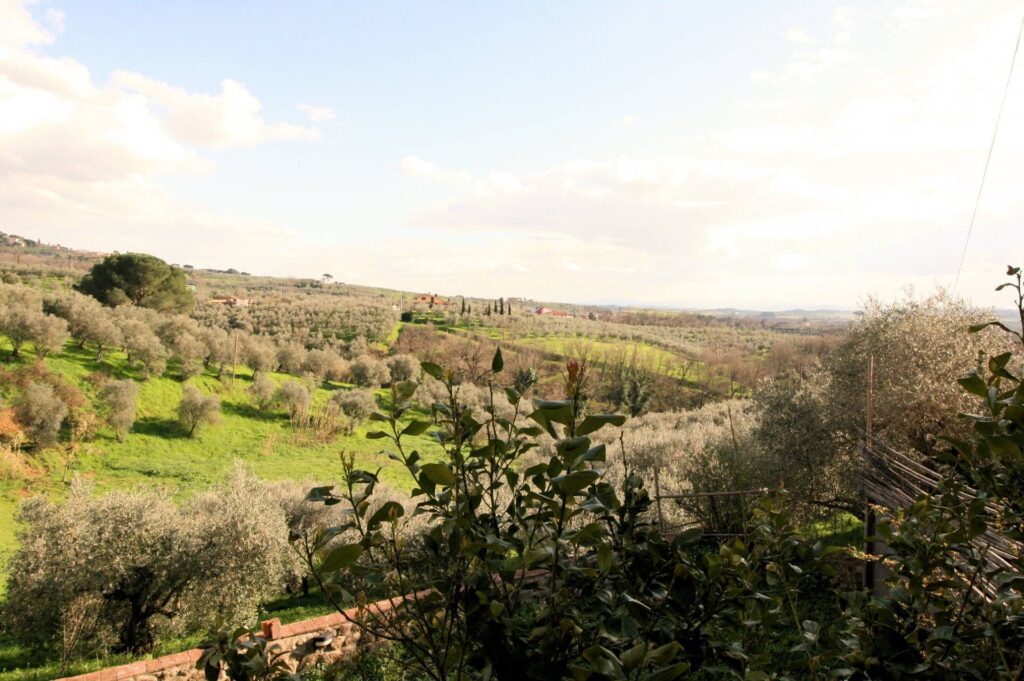 1287-Terratetto ristrutturato libero su tre lati di ampia superficie con terreno e vista panoramica-Lamporecchio-12 Agenzia Immobiliare ASIP