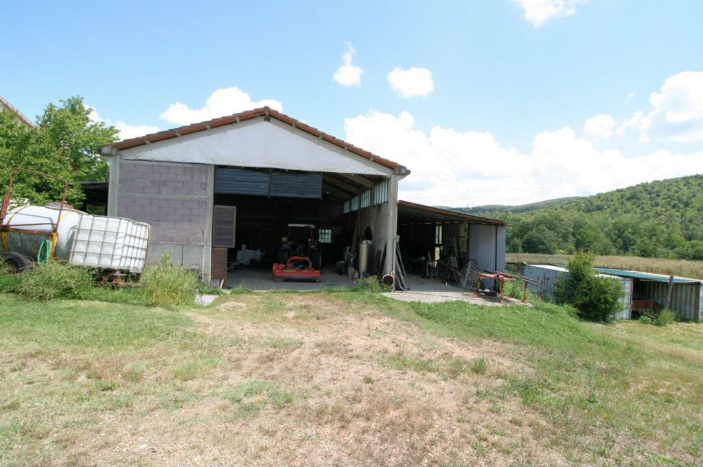 1523-Complesso immobiliare di ampia superficie  con annessi e terreno a venti minuti dal mare-Monteverdi Marittimo-20 Agenzia Immobiliare ASIP