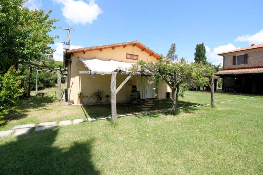 1523-Complesso immobiliare di ampia superficie  con annessi e terreno a venti minuti dal mare-Monteverdi Marittimo-14 Agenzia Immobiliare ASIP