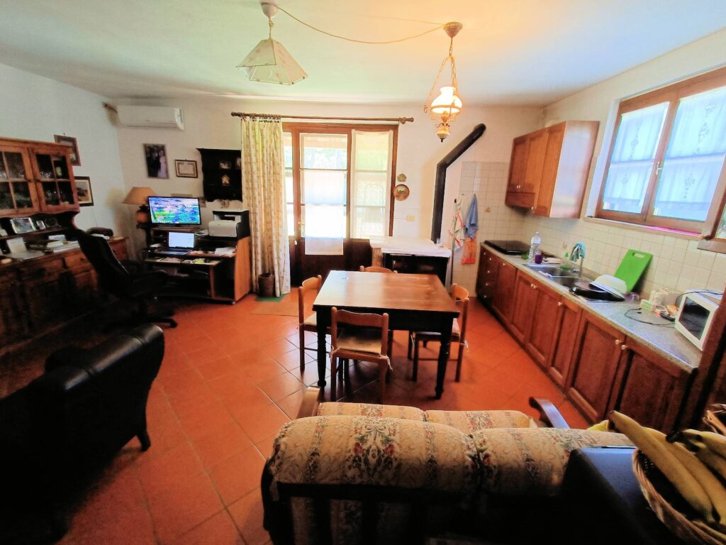 1523-Complesso immobiliare di ampia superficie  con annessi e terreno a venti minuti dal mare-Monteverdi Marittimo-32 Agenzia Immobiliare ASIP