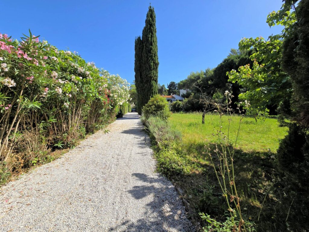 1502-Casa indipendente in stile rustico Toscano con terreno-Campiglia Marittima-8 Agenzia Immobiliare ASIP