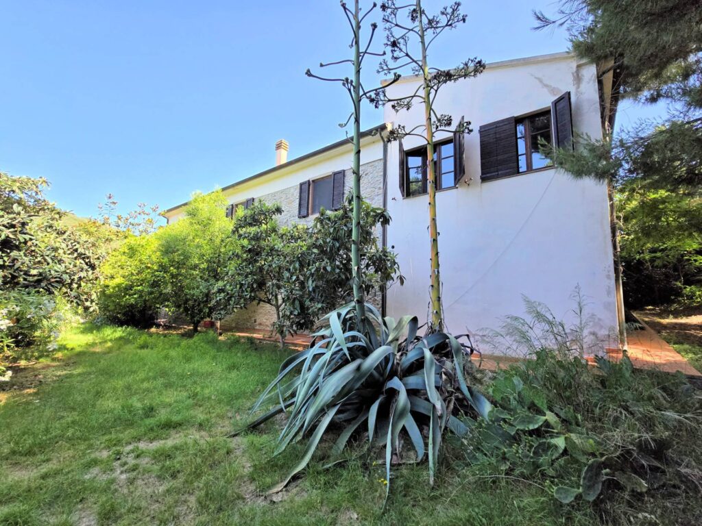 1502-Casa indipendente in stile rustico Toscano con terreno-Campiglia Marittima-5 Agenzia Immobiliare ASIP