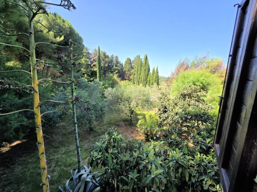 1502-Casa indipendente in stile rustico Toscano con terreno-Campiglia Marittima-25 Agenzia Immobiliare ASIP
