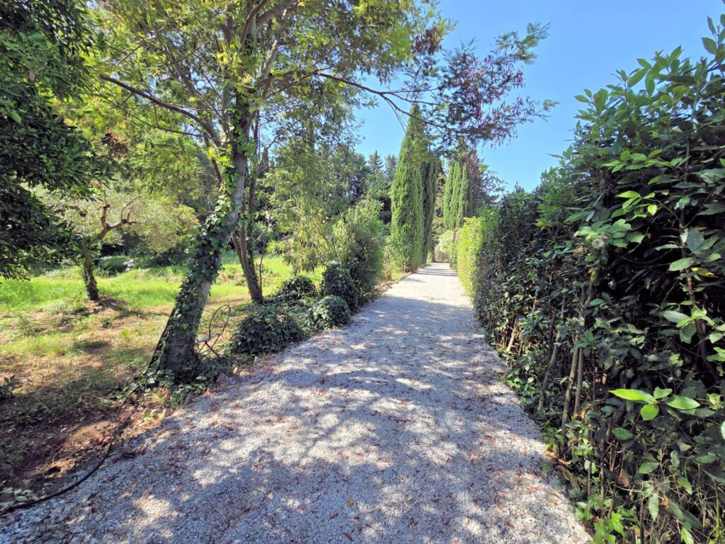 1502-Casa indipendente in stile rustico Toscano con terreno-Campiglia Marittima-10 Agenzia Immobiliare ASIP