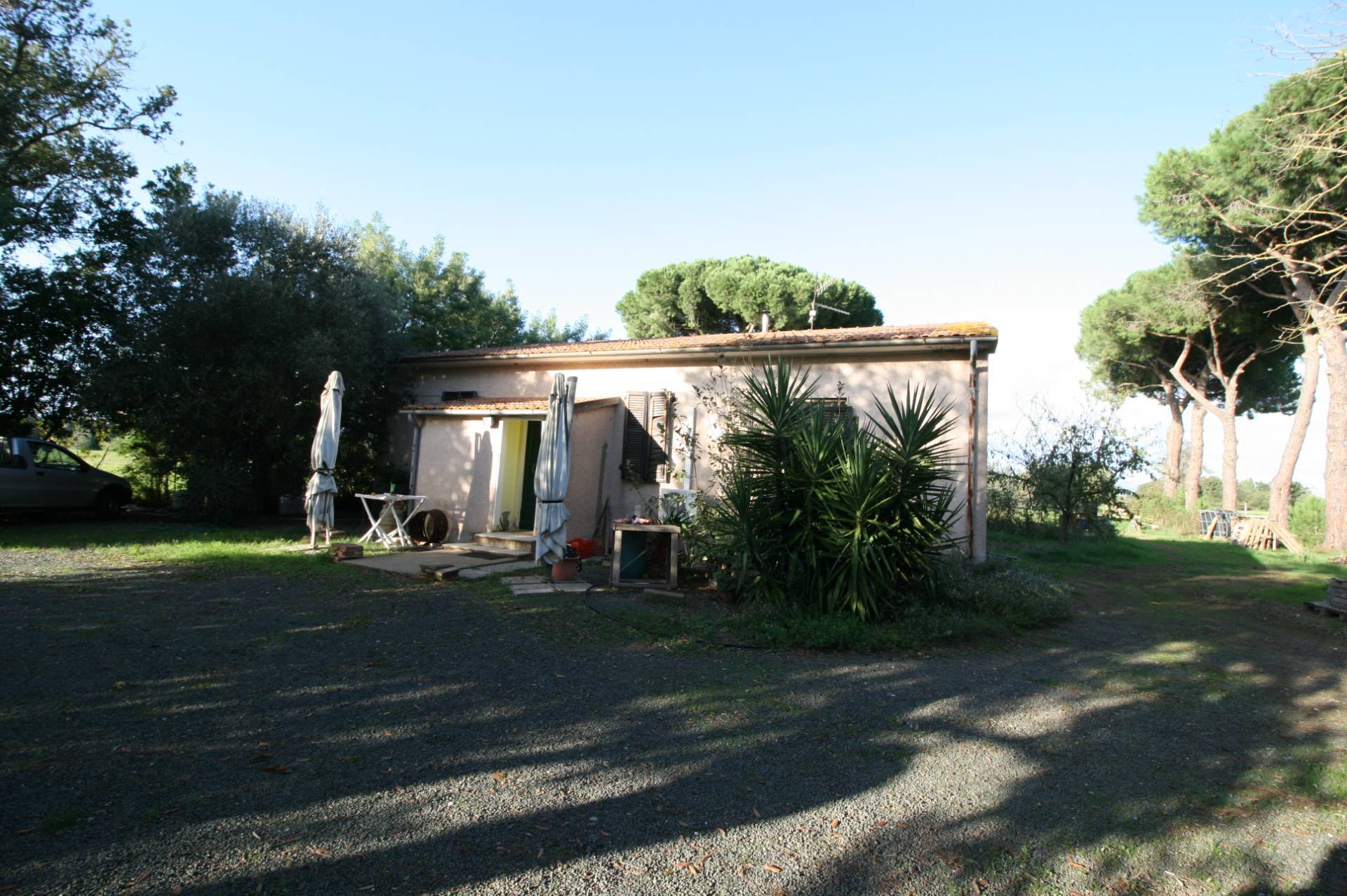 1572-Piccolo podere nella pianura Maremmana-Roccastrada-1 Agenzia Immobiliare ASIP