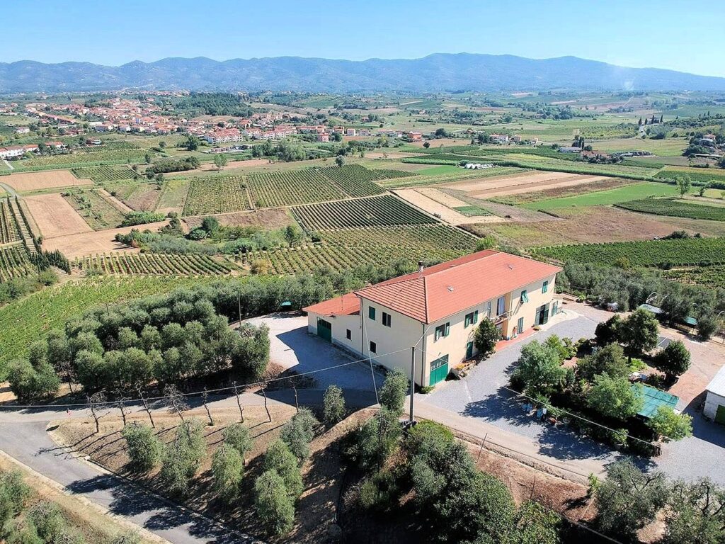 564-Azienda agricola produzione vino ed olio-Cerreto Guidi-3 Agenzia Immobiliare ASIP