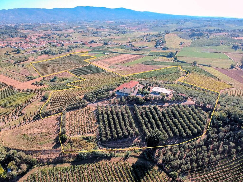 564-Azienda agricola produzione vino ed olio-Cerreto Guidi-1 Agenzia Immobiliare ASIP