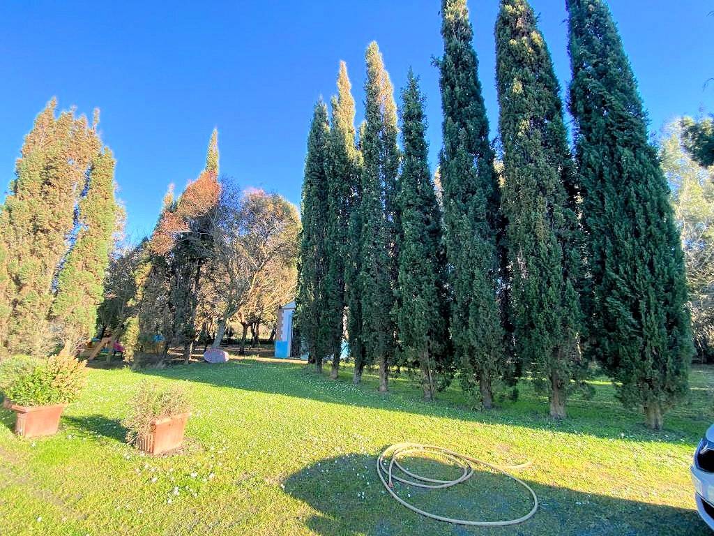 1586-Agriturismo di ampia superficie con terreno piscina vicino al mare-Rosignano Marittimo-4 Agenzia Immobiliare ASIP