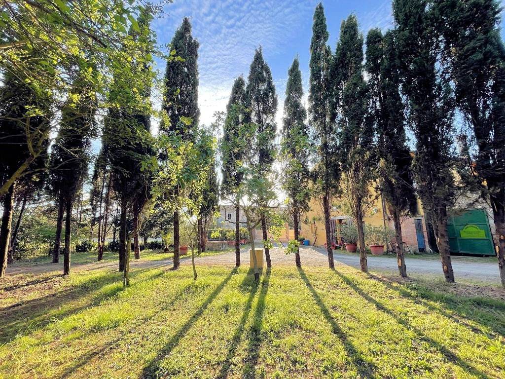 1586-Agriturismo di ampia superficie con terreno piscina vicino al mare-Rosignano Marittimo-8 Agenzia Immobiliare ASIP