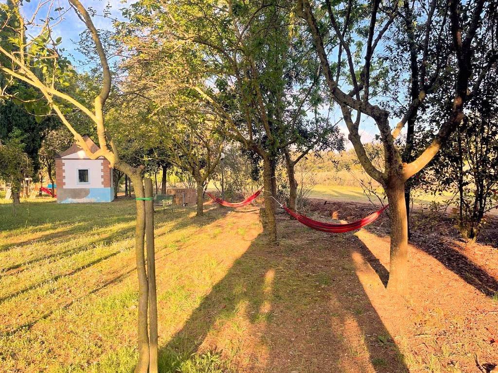 1586-Agriturismo di ampia superficie con terreno piscina vicino al mare-Rosignano Marittimo-6 Agenzia Immobiliare ASIP